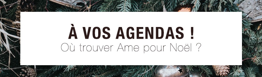Agenda Noel Ame 2019